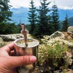 yerba