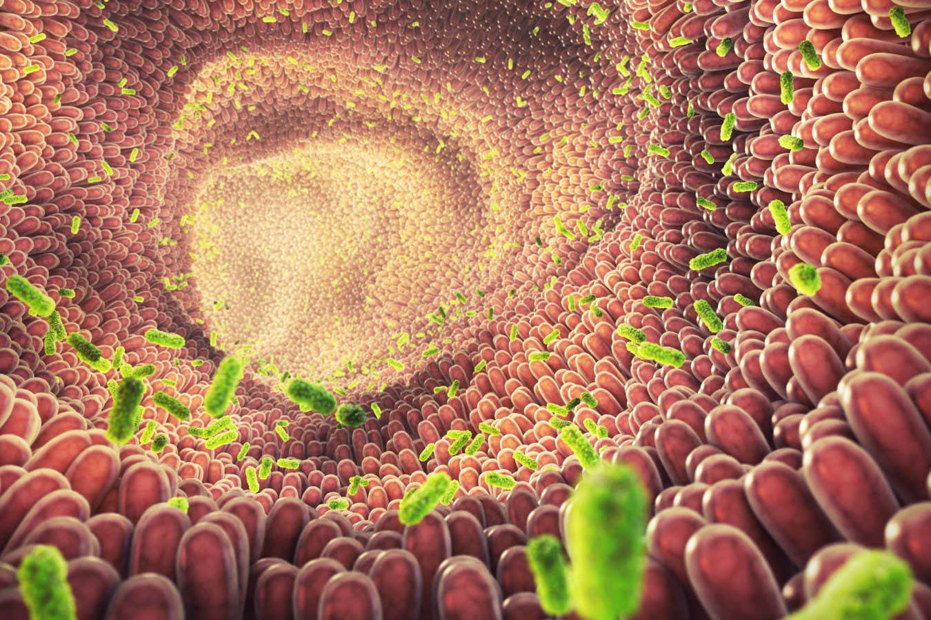 nocna praca i stresowy ból brzucha pracownik patrzy na zegar trzymając brzuch przed komputerem w nocy